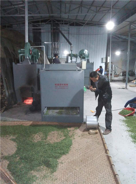茶葉加工現場